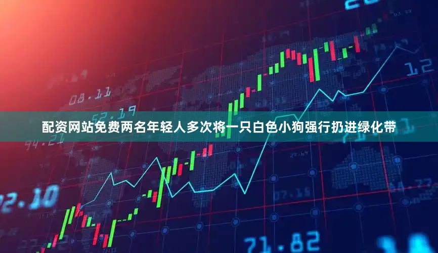 配资网站免费两名年轻人多次将一只白色小狗强行扔进绿化带