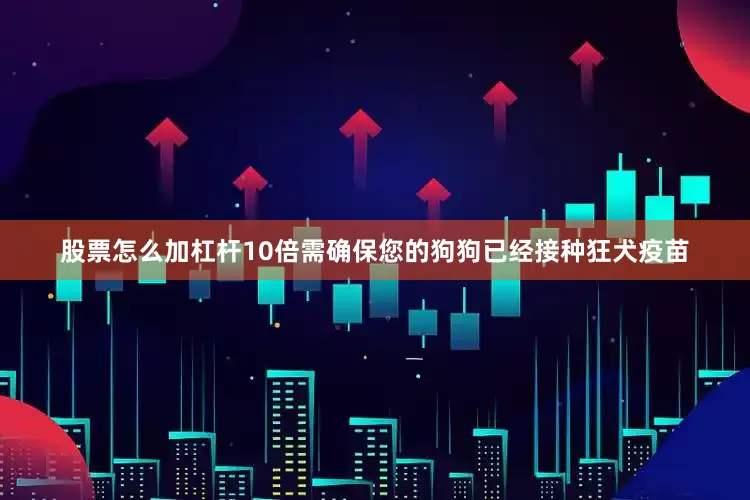 股票怎么加杠杆10倍需确保您的狗狗已经接种狂犬疫苗