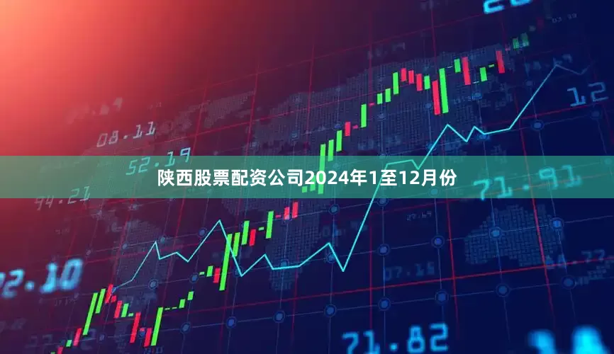 陕西股票配资公司　　2024年1至12月份
