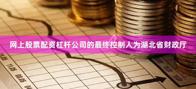 网上股票配资杠杆公司的最终控制人为湖北省财政厅